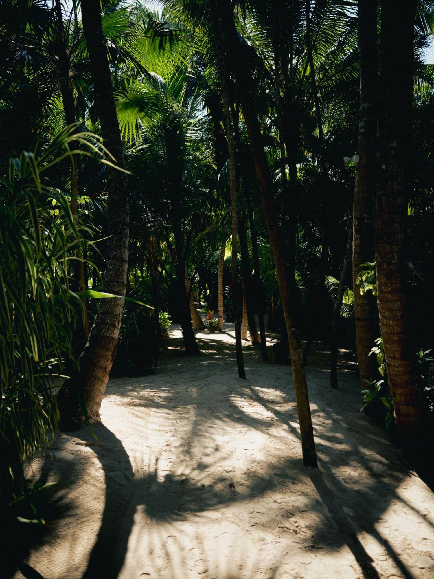 Hotel Nomade Tulum Exterior foto